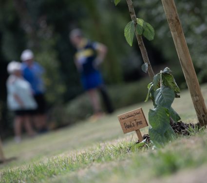 Norfolk Residential Service Plants 18 Trees to Celebrate CQC Success